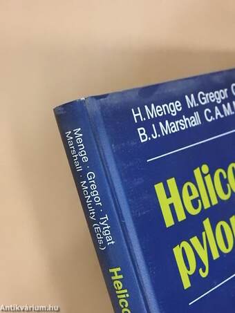 Helicobacter pylori 1990