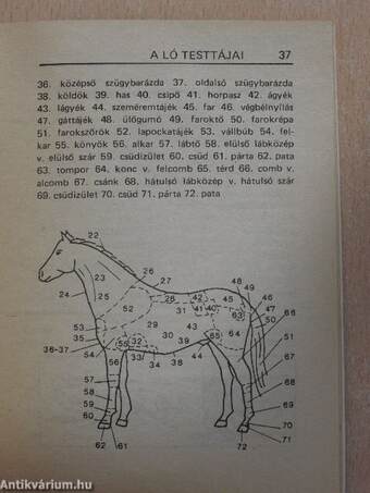 Rejtvényfejtő mini szó-tár 18.