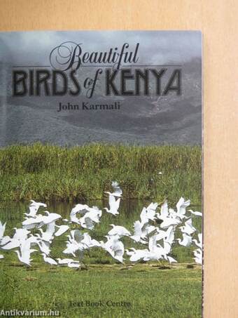 Beautiful Birds of Kenya