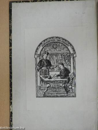 Der Sendbote der göttlichen Herzens Jesu Jänner-Dezember 1871. (gótbetűs)