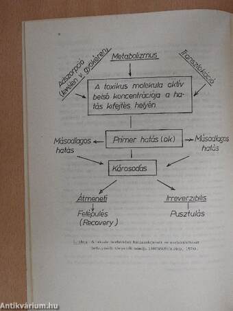 A gyomnövények triazin rezisztenciája