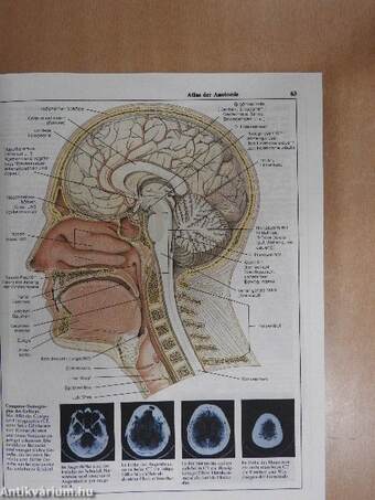 Selbstdiagnose