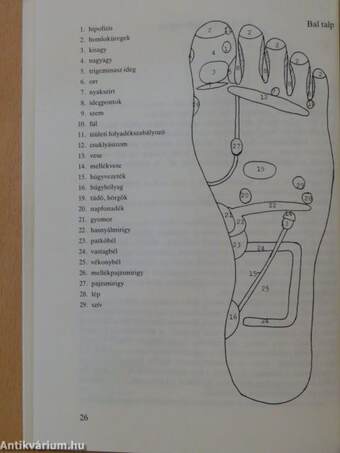 Tapasztalataim a reflexológiában