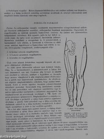 Az orthopaedia tankönyve