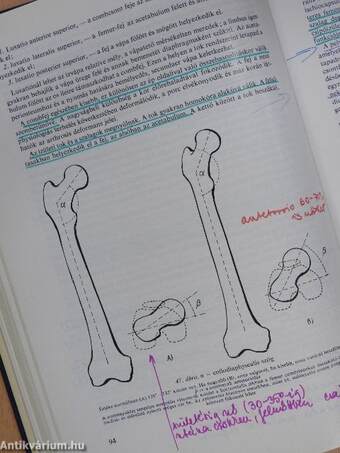 Az orthopaedia tankönyve