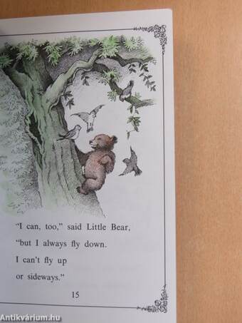 Little bear's friend