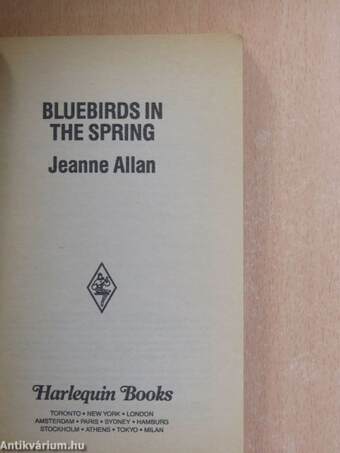 Bluebirds in the spring