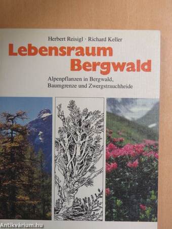 Lebensraum Bergwald