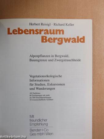 Lebensraum Bergwald