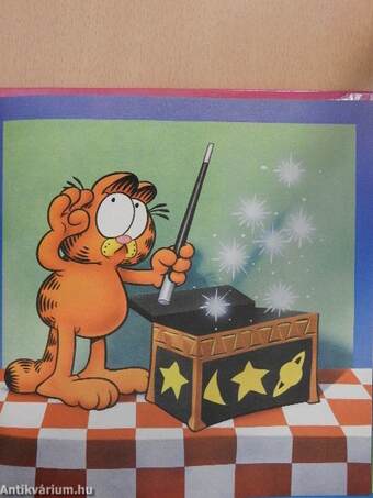 Garfield The Magician