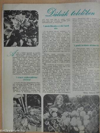 Kertbarát magazin 1978. október