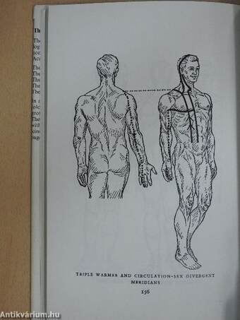 The Meridians of Acupuncture