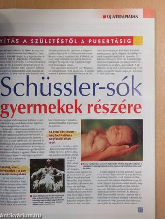 Természetgyógyász magazin 2006. május