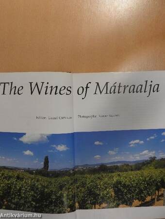 The Wines of Mátraalja