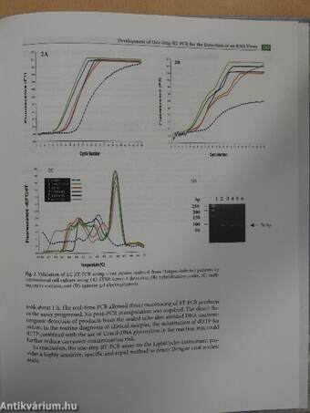 Rapid Cycle Real-Time PCR - Methods and Applications