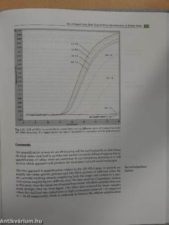 Rapid Cycle Real-Time PCR - Methods and Applications