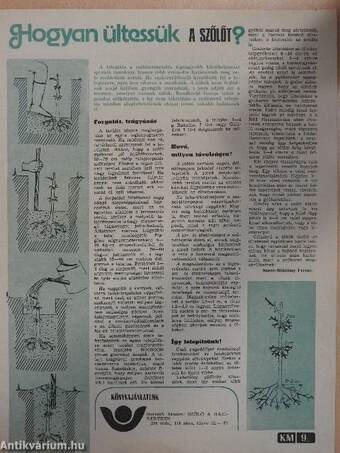 Kertbarát magazin 1977. október