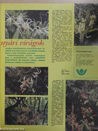 Kertbarát magazin 1978. június