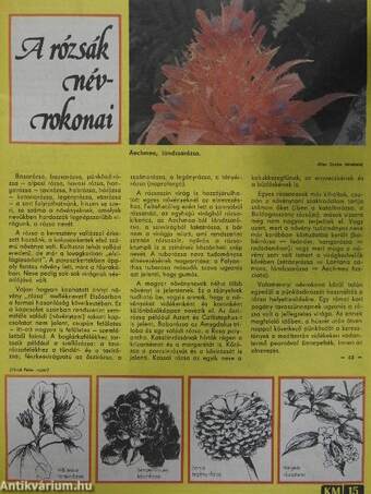 Kertbarát Magazin 1980. nyár