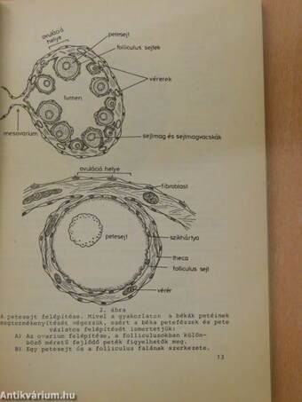 Embryologia