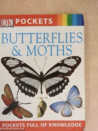 Butterflies & Moths