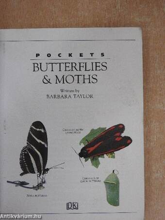 Butterflies & Moths