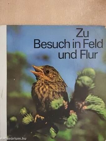 Zu Besuch in Feld und Flur