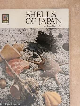 Shells of Japan