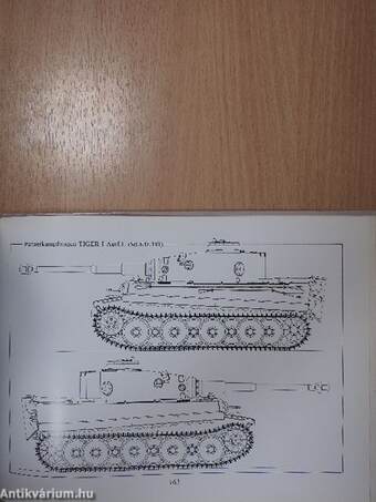 Tiger I and Sturmtiger in Detail