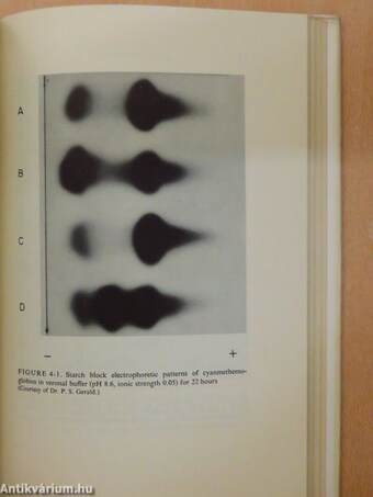 The Hemoglobins in Genetics and Evolution