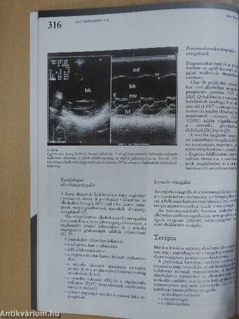 Lege Artis Medicinae 1993. április 28.