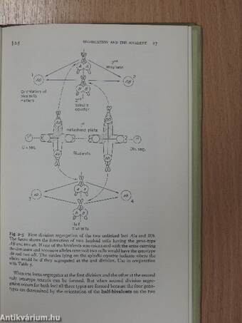 Cell Division and Heredity