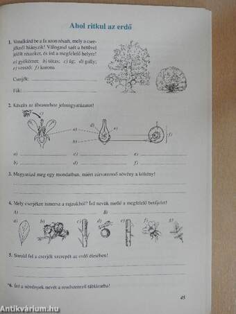 Természetismeret 6. Munkafüzet
