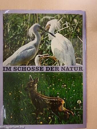 Im Schosse der Natur