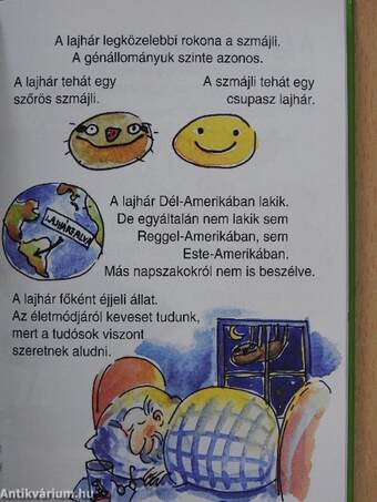 Amit a lajhárokról feltétlenül tudni kell