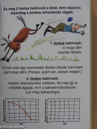 Amit a lovakról feltétlenül tudni kell