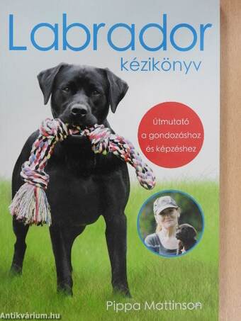 Labrador kézikönyv