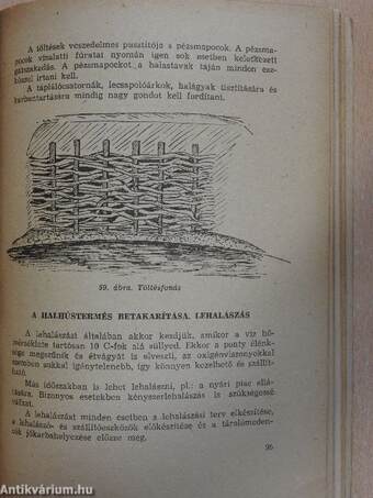 Méhészet, selyemhernyó-, hal-, nyúl- és prémesállattenyésztés