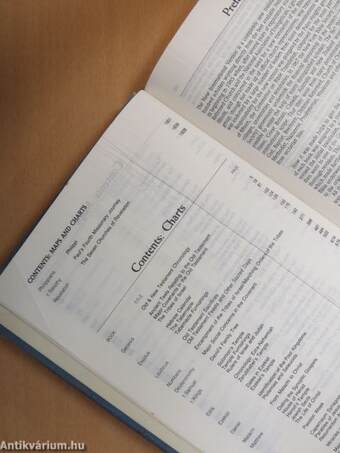 The NIV Study Bible