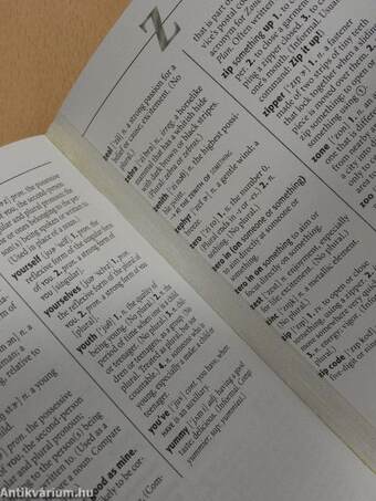 NTC's Pocket Dictionary of Words and Phrases