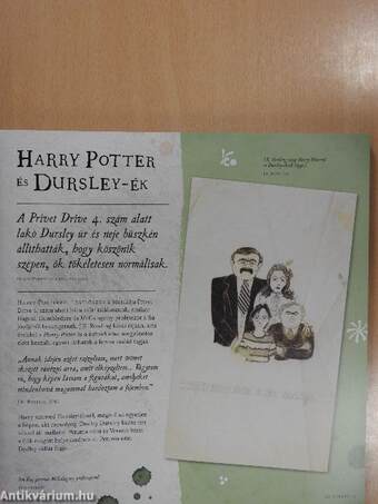 Harry Potter - Utazás a mágia történetében