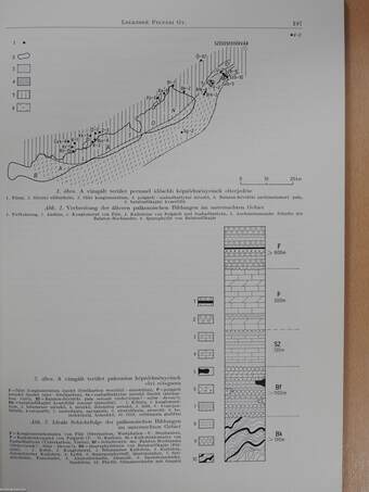 A Balaton-vonal néhány permnél idősebb képződményének kőzettani vizsgálata (dedikált példány)