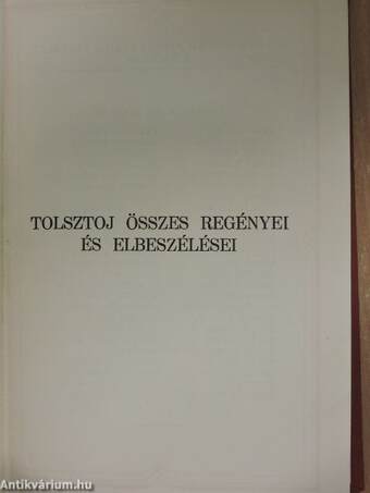 Ifjuságom regénye I-III./Családi boldogság