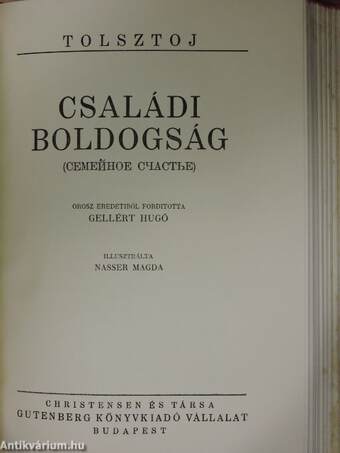 Ifjuságom regénye I-III./Családi boldogság