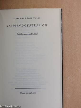 Im Windgesträuch