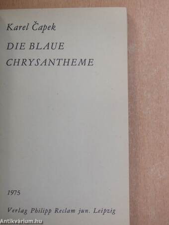 Die blaue Chrysantheme