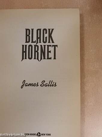 Black hornet