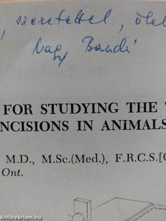 Simple standardized method for studying the tensile strength of healing incisions in animals (dedikált példány)