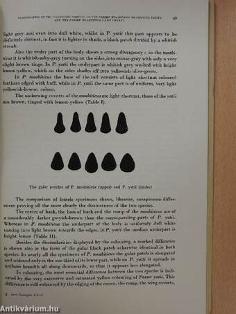 Clarification of the taxonomic position of the passer moabiticus moabiticus tristr. and the passer moabiticus yath sharpe (dedikált példány)