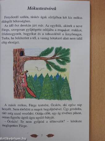 A sárga tölgy (dedikált példány)